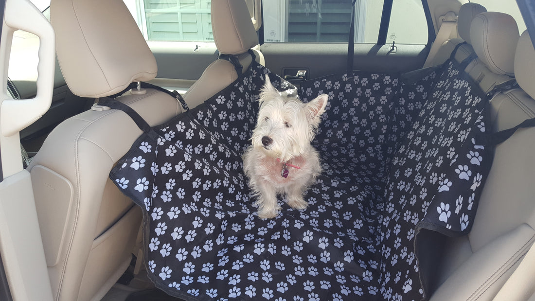 This Dog Back Seat Cover Makes Your Dog Travel In Style